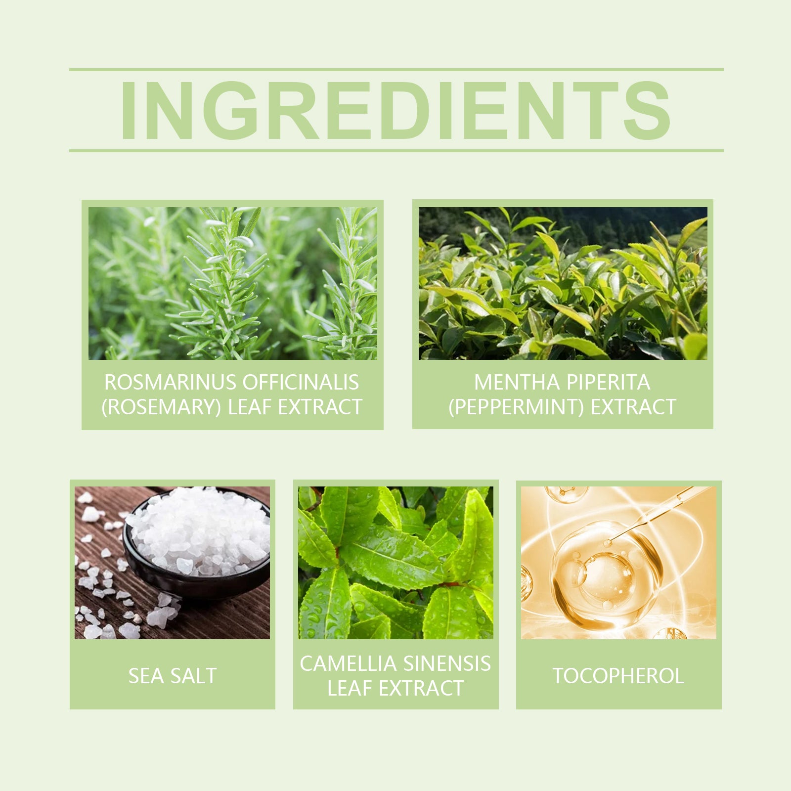 Wiyun Rosemary Scalp Scrub, A Gentle Scalp Treatment That Cleanses Exfoliates, Nourishes, Softens And Strengthens Hair