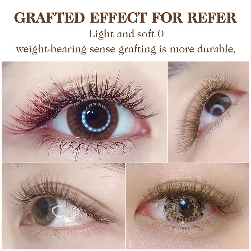 NATUHANA Caramel Colored Lashes | Individual Faux Mink Eyelashes