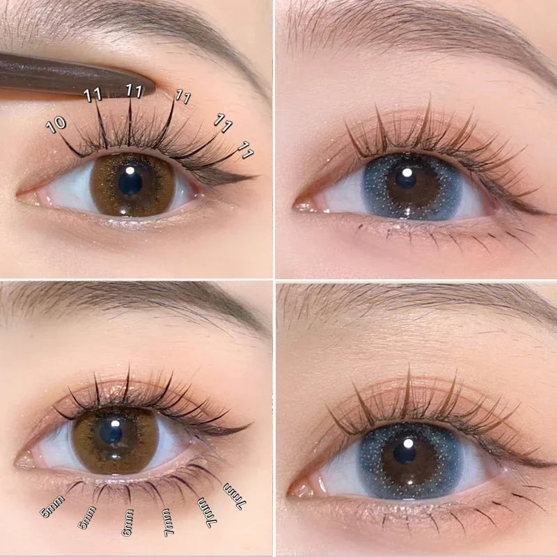Brown Lashes A Type False Eyelashes 8-12mm | Natural Fairy Lash Clusters for Korean Makeup