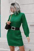 Ribbed Turtle Neck Long Sleeve Mini Sweater Dress for Women